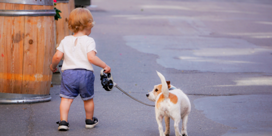 How To Leash Train A Dog - Step-By-Step Leash Training Guide